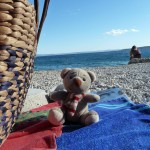 Pauli am Meer