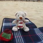 Pauli ist angekommen am Strand