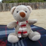 Pauli relaxt am Strand