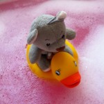 Pauli badet 2