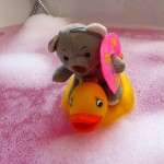 Pauli badet 3