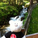 Nic in Krimml