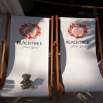Pauli am Stadtstrand Nürnberg (2)
