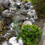 Swarovski Garten (2)