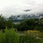 Swarovski Garten (3)