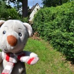 Pauli auf dem Grundstück (2)