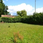 Pauli auf dem Grundstück (5)