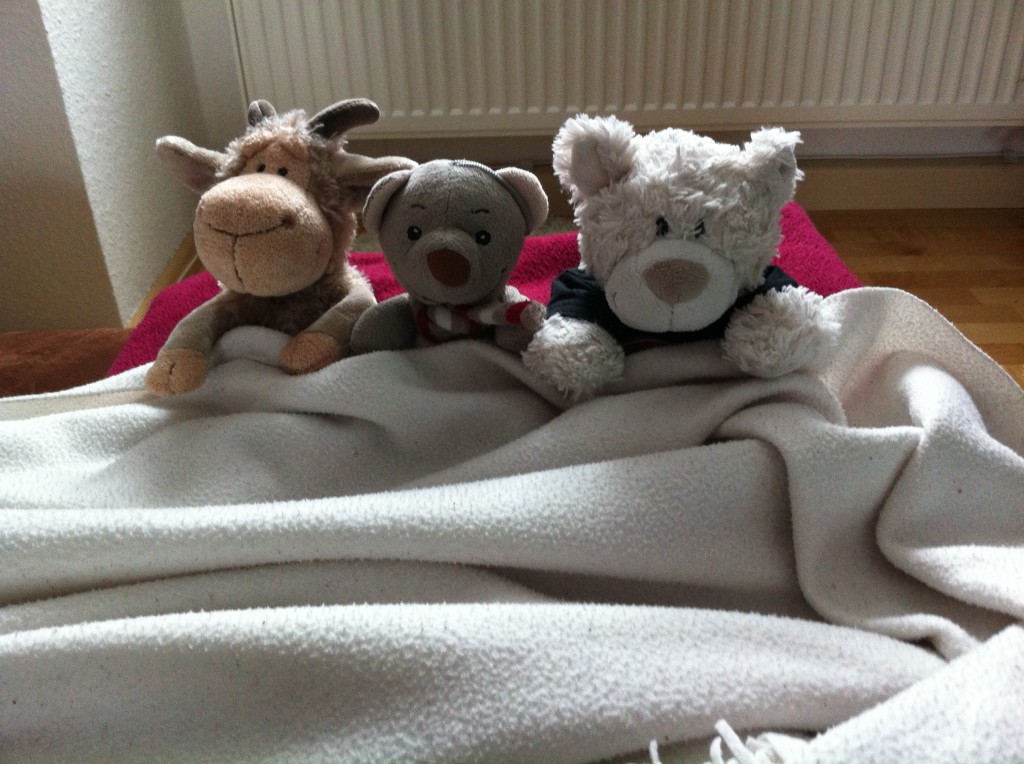 Rooobert, Pauli und Nic