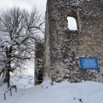 Pauli auf der Burgruine Falkenstein (40)