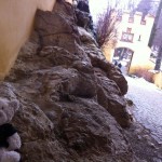 Nic in Hohenschwangau (9)