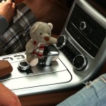 Pauli im Mercedes