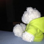 Nic im Team Limette