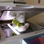 Nic am Kopierer (4)