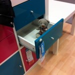Pauli bei IKEA (4)