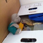Pauli packt Kartons (2)