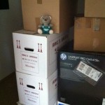 Pauli packt Kartons (4)