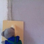 Pauli verputzt die Küche (1)