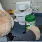 Ted und Nic backen Paulis Krümelmonster Kuchen (4)