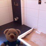 pauli im neuen Badezimmer (1)
