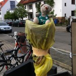 Pauli hilft beim Umzug (6)