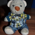 Pauli im neuen Outfit (1)