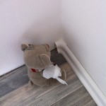 Paulis Kinderzimmer mittendrin