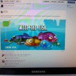Hay Day Meet the fish