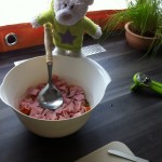 Nic's Schichtsalat (6)