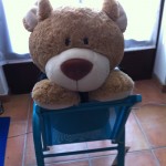 Ted im neuen Hoodie (4)