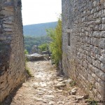 Dvigrad (36)