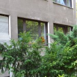 Hotel Girgl (10)