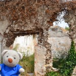 Pauli auf einem Verlassenen Friedhof in Umag