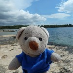 Pauli am Strand