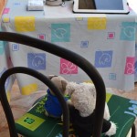 Wohnung (2)