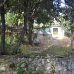 Disco Paradies (25)