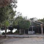 Disco Paradies (38)