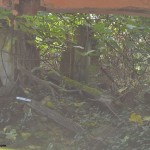 Lost Place Antenal (15)