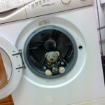 Pauli und die alte Waschmaschine