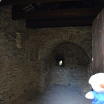 Pietra Pelosa castle (7)