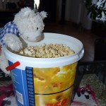waschmittelbox (5)
