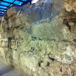 Marientormauer (1)