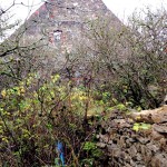 Schäferhaus Geigerhaid (12)