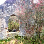 Schäferhaus Geigerhaid (13)