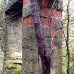 Schäferhaus Geigerhaid (7)