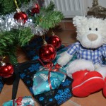 Nics Weihnachten 2013