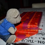 Pauli packt Geschenke (5)