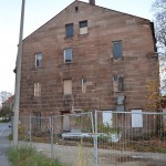 Schwarzer Adler (1)
