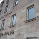 Schwarzer Adler (8)