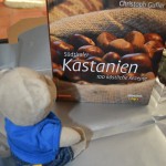 Paulis Kochbuch Wichteln (1)