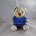 Paulis Mini Fotostudio (1)